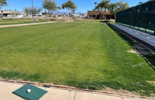 Monte Vista Village Resort Mesa 3 Bed 2 Bath Age Restricted Must be 55 or more - Photo 42