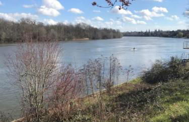 Les Bambous - Foto 1