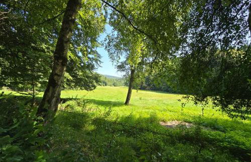 Exklusive Ferienwohnung Bad Salzschlirf - direkt am Waldrand - großer Garten kompett umzäunt - Hunde willkommen - 2 private Stellplätze - Foto 76