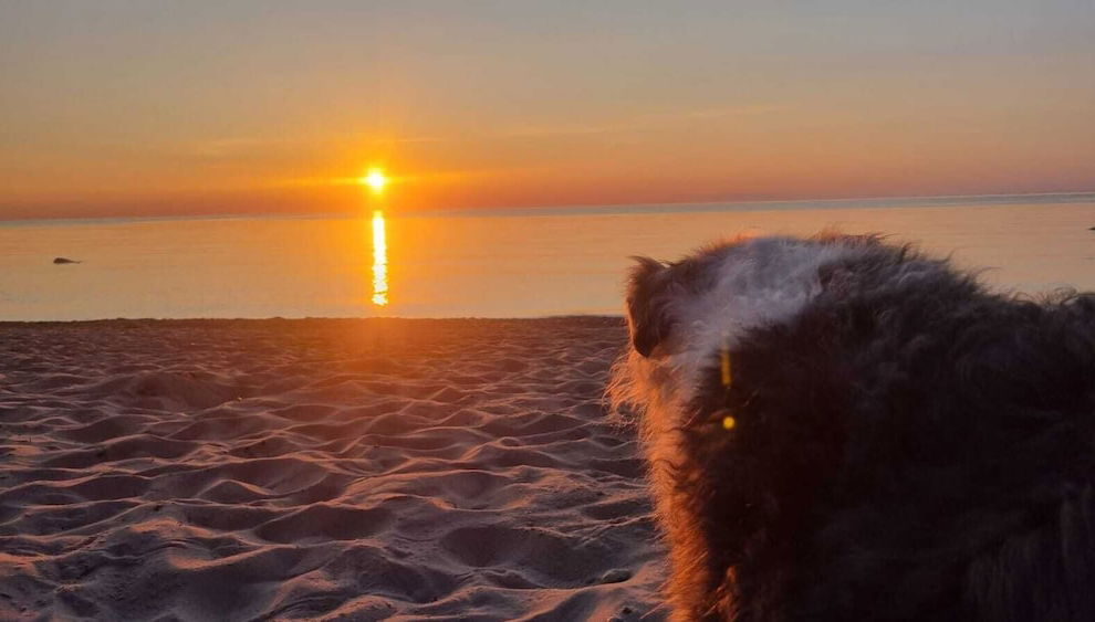 Ferienpark-Eichenwald - Foto 1, Imagen principal