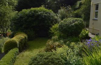 Cosy Cottage overlooking the Teifi Gorge - Foto 40