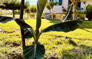 Viki Studios - Foto 19