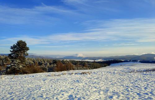 Agroturystyka Zadnie Łuki - Foto 39