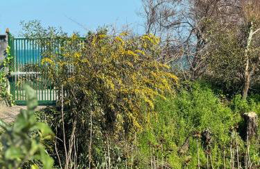 Green paradise with Etna view - Foto 80