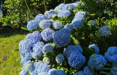 Recanto DOIS Pinheiros RS - Foto 15