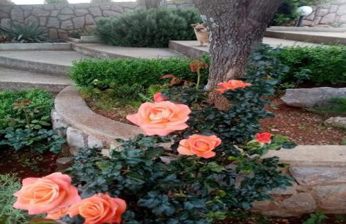 Apartments Paola - Foto 64