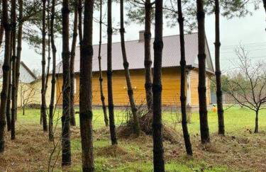 Wiejska Chata u Emili - Foto 10