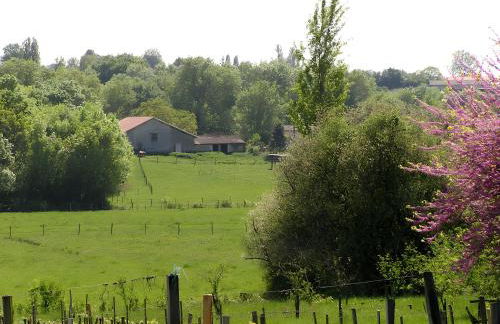 La Grange D'Oustaud - Foto 14