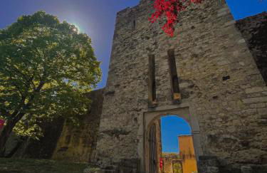 Tiny-House - 5 min de Montélimar - Salle de bain italienne & grand confort - Foto 48