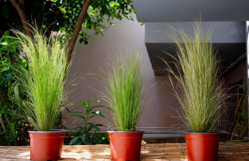 Cozy Boutique - Photo 9