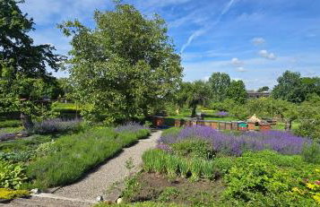 Agroturystyka u Joli - Foto 22