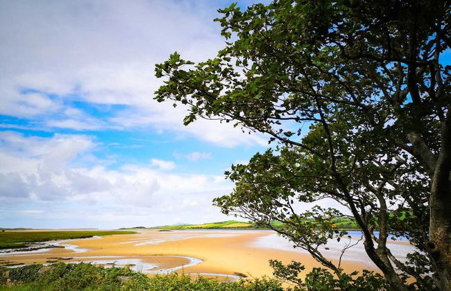 The Snuggly Sheep Shepherd Hut Campview Farm Stay - Foto 6