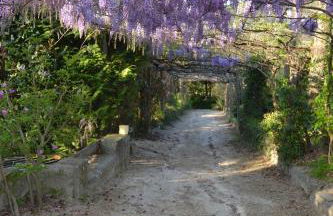 Quinta do Mosteiro - Foto 68