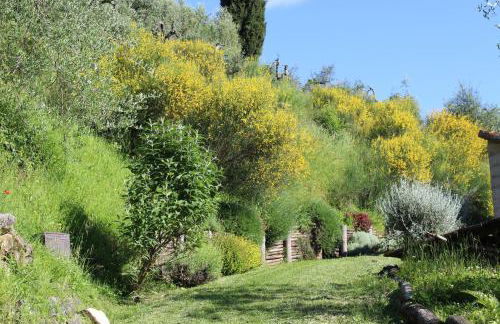 Villa Porsenna - Foto 25