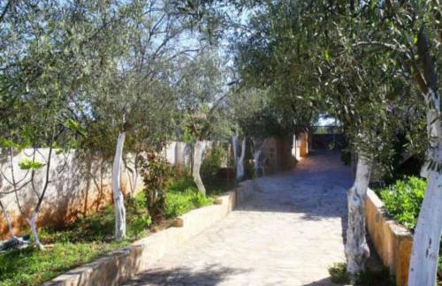 Apartments Tina FREE transfer from-to the airport - Foto 40