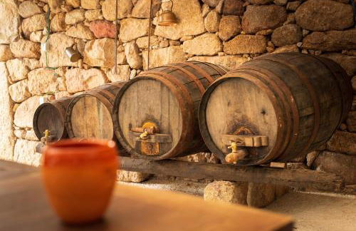 Casa do Parente - Foto 24