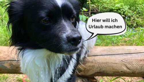 Tiny House - Auszeit im Wald am Badesee - Foto 3