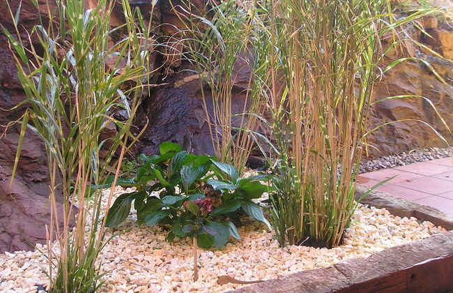 Rural Obaya - Photo 23