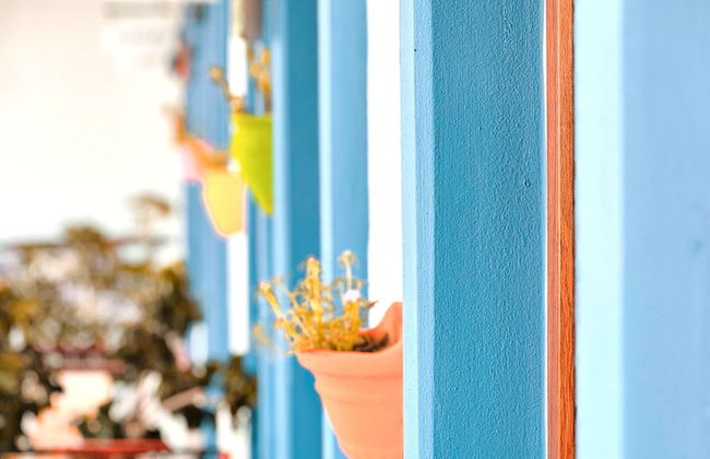 Tas Apart - Photo 38