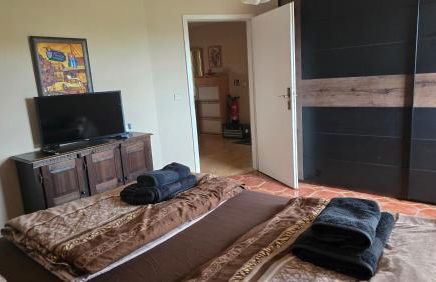 Ferienwohnung mit Pool am Stadtrand von Dresden - Foto 11