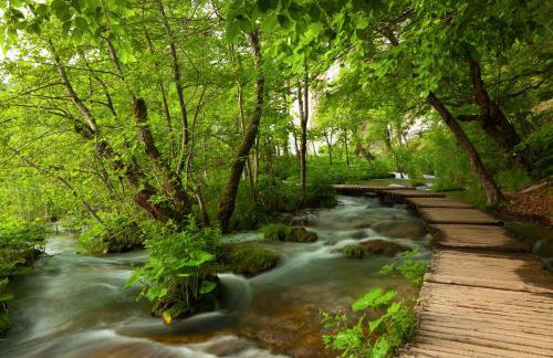 Apartment Majetić - Foto 15