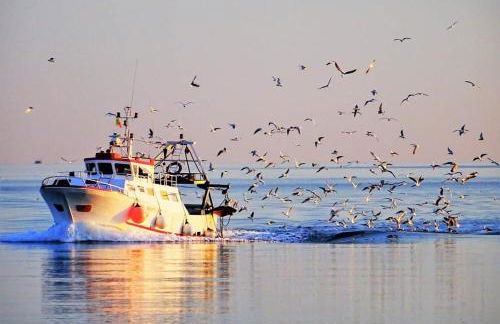 AtticoCinque - Foto 44