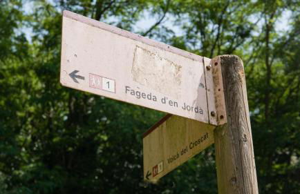 Majordoms Baseia - jardí i accés privat a La Fageda - Photo 29