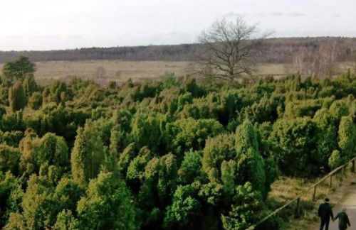 Holiday Home Natur by Interhome - Foto 18