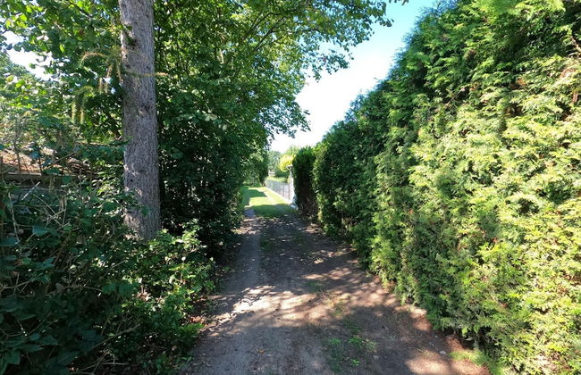 Ferienhaus mit Wasserblick, Lubben - Foto 10