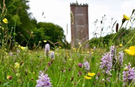 The Old Stable - Foto 9