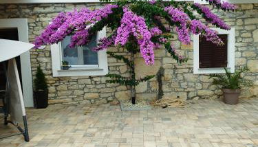 Kuća za odmor IVANA - Foto 5