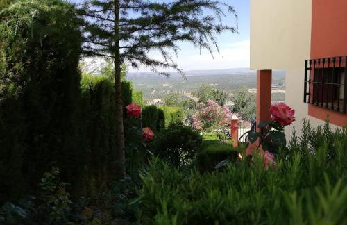 Complejo rural Mirador del Condado - Foto 44