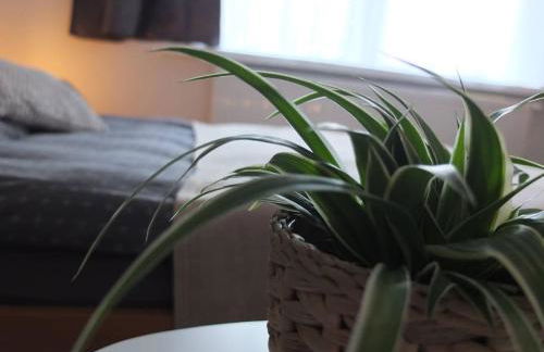 Gäste-Apartment Gartenblick - Foto 14