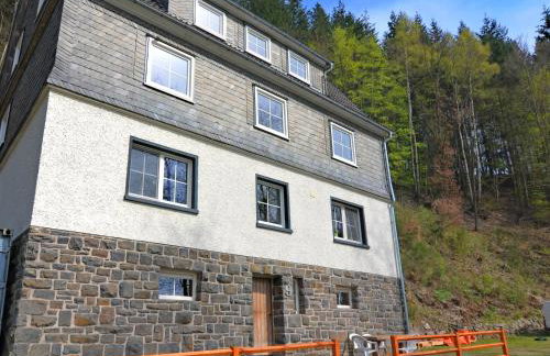 Lovely Group House near Winterberg with Private Sauna, Garden, & Terrace - Photo 14