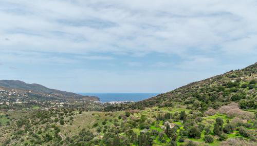 Olive Guesthouse Junior - Foto 3