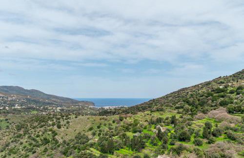 Olive Guesthouse Junior - Foto 3