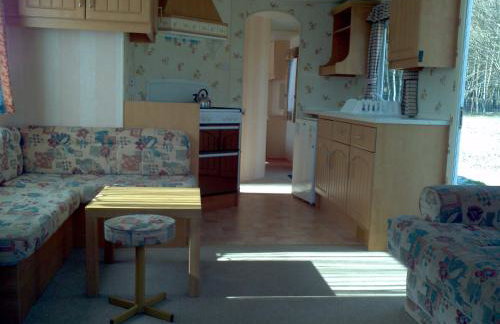 Agroturystyka Borówka - Foto 55