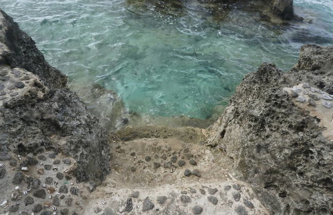 Vanuatu Uncharted Sport Fishing Lounge - Foto 19