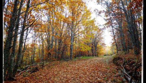 Casa rural Quevedo - Foto 3