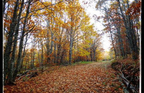 Casa rural Quevedo - Foto 3