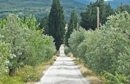 Podere Castellare - Photo 71