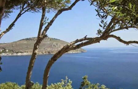 Petrino 1 - Traditional Lerian House - Foto 23