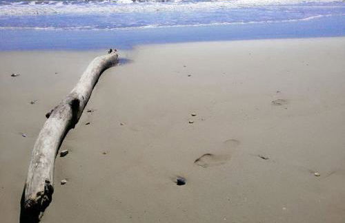 Appartamenti Cupramare - Foto 9