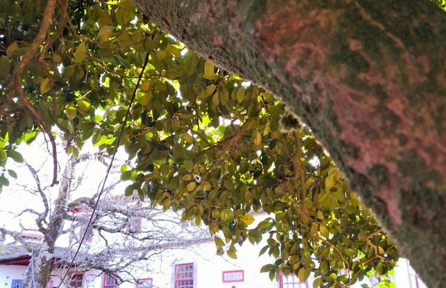 Lovely 6-bed Cottage in Braga Enjoy and Relax - Foto 31