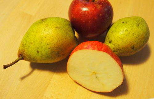 Ediths Haus - Foto 34