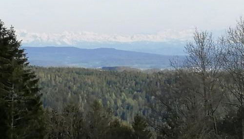 Chalet Charbonnier - Foto 2