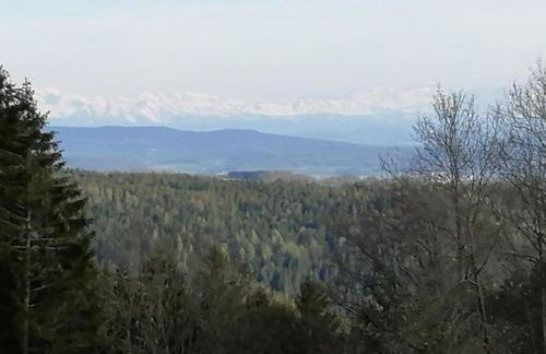 Chalet Charbonnier - Foto 2