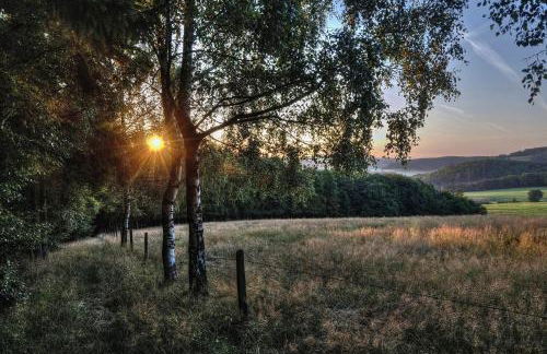 Diemelsee Sudeck - Ein Ferienhäuschen zum WOHLFÜHLEN - Foto 22