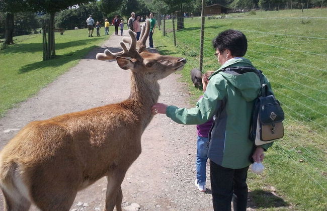 Holiday Apartment Kerstin - Foto 14