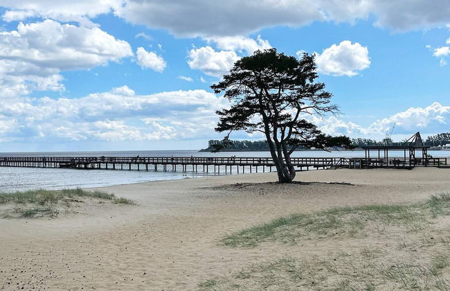 Cozy Cottage Near Beach in Ahus - Foto 14